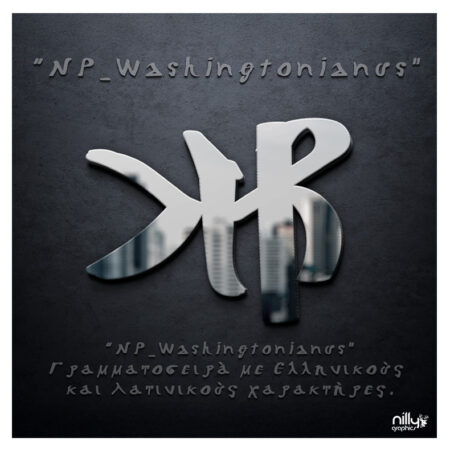 NP_Washingtonianus - Nilly Graphics